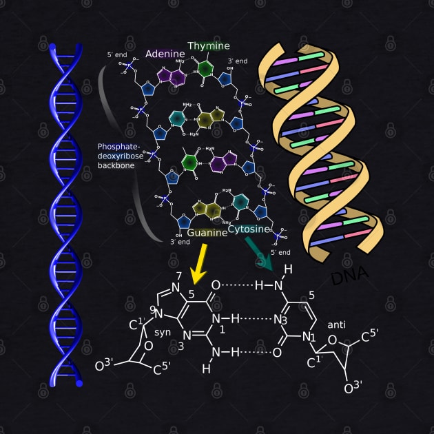 DNA Double Helix Chemical Formula Molecules Science Art by Brasilia Catholic